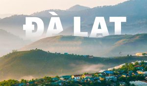 Cho thuê xe 16, 29, 45 chỗ đi Đà Lạt 3 ngày 2 đêm