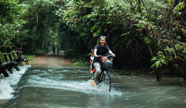 Rừng Nam Cát Tiên mang đến cho du khách những trải nghiệm độc đáo chưa từng có