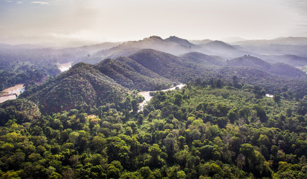 Dịch vụ cho thuê xe đi rừng Nam Cát Tiên